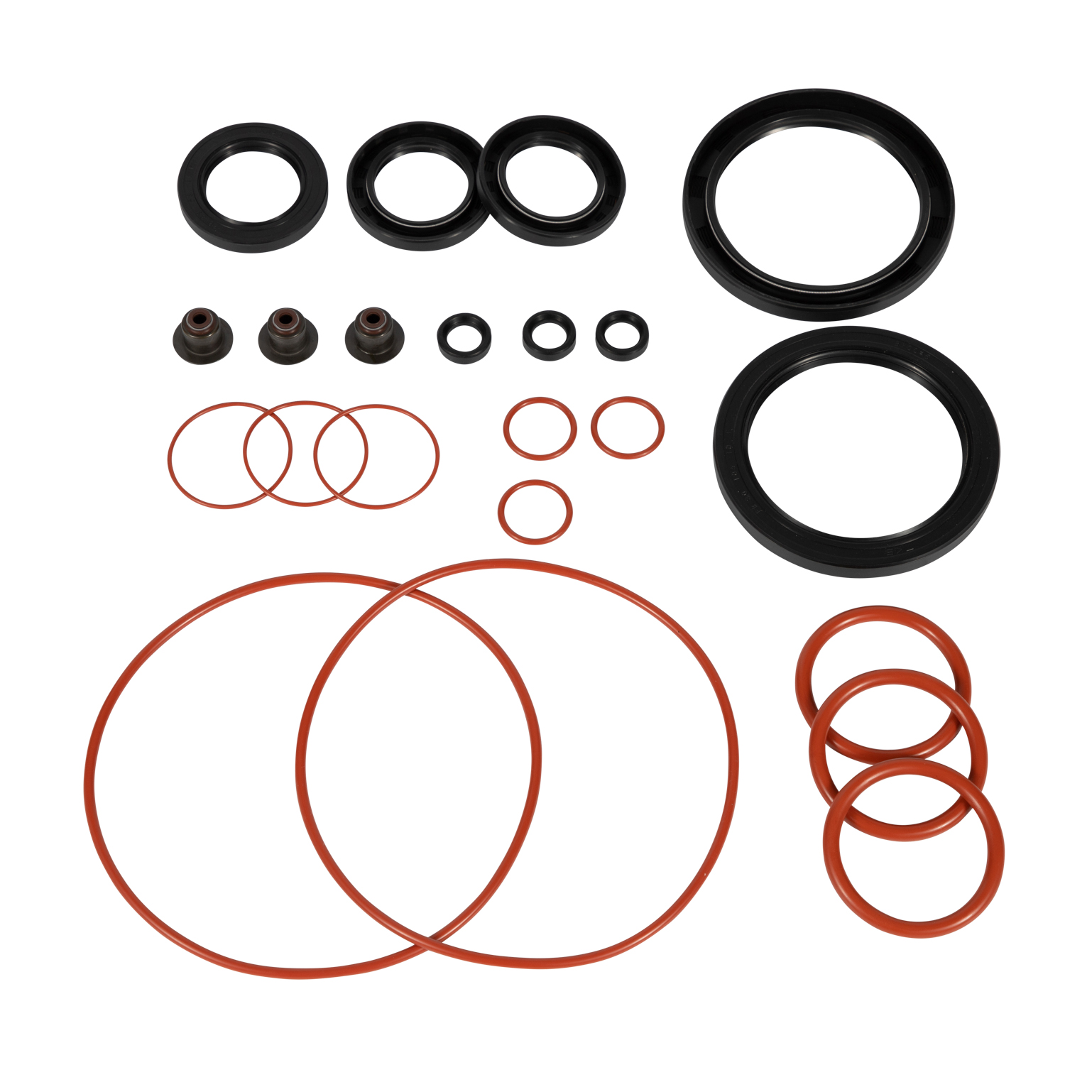 SENSECO Rubber Oil Seal (22).jpg